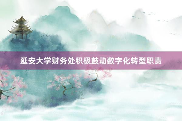 延安大学财务处积极鼓动数字化转型职责